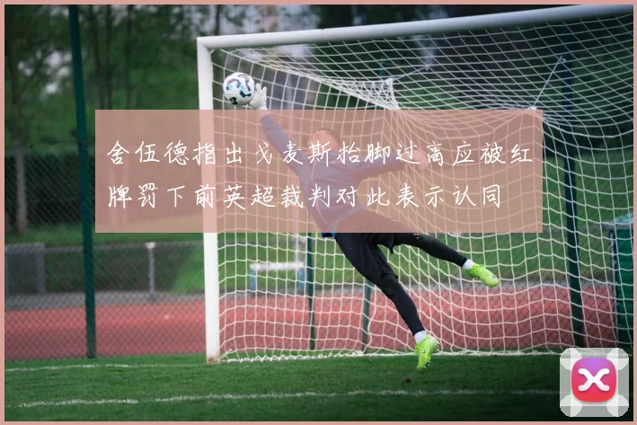 舍伍德指出戈麦斯抬脚过高应被红牌罚下前英超裁判对此表示认同