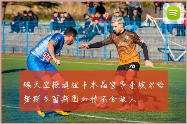 瑞天空报道纽卡水晶宫争夺埃尔哈努斯冬窗斯图加特不会放人